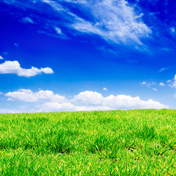 Similar image 1314819