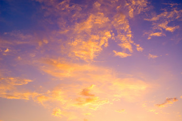 Similar image 1314822