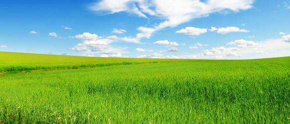 Similar image 1314843