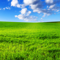 Similar image 1314846