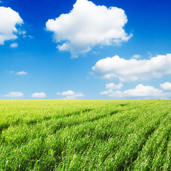 Similar image 1314849