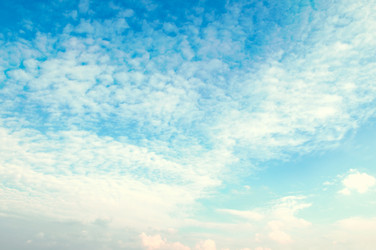 Similar image 1314850