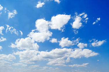 Similar image 1314851