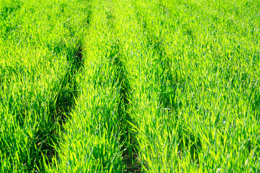 Similar image 1314853