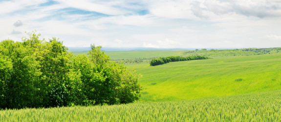 Similar image 1314854