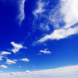 Similar image 1314856