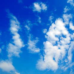 Similar image 1314857