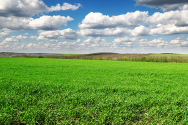 Similar image 1314862