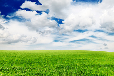 Similar image 1314896