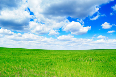 Similar image 1314906