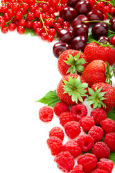 Similar image 1314932