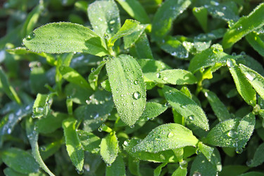 Similar image 1314968