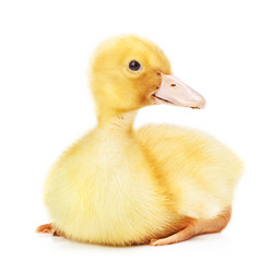 Similar image 1315053