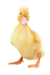 Similar image 1315056