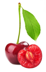 Similar image 1315062