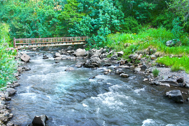 Similar image 1315154