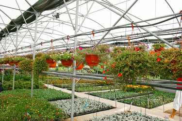 Similar image 1315167