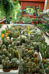 Similar image 1315169