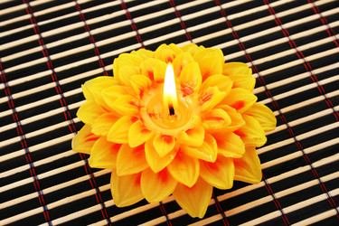 Similar image 1315179