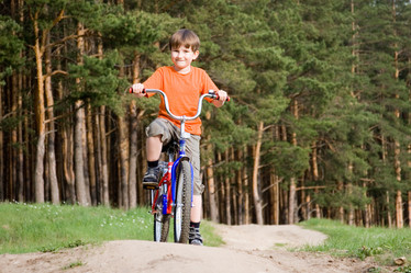 Similar image 1315290