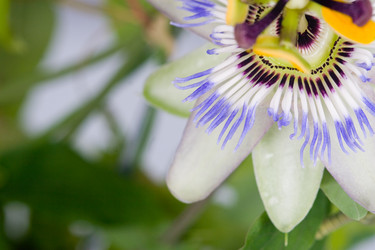 Similar image 1315293