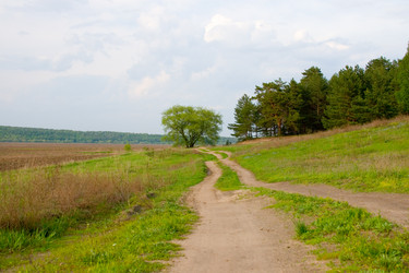 Similar image 1315297