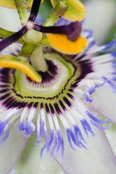 Similar image 1315300