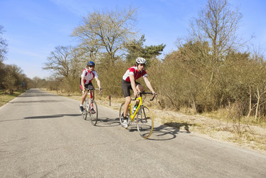 Similar image 1315330