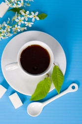 Similar image 1315344