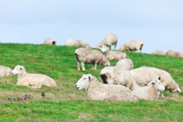 Similar image 1315374