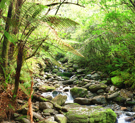 Similar image 1315410