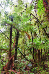 Similar image 1315416