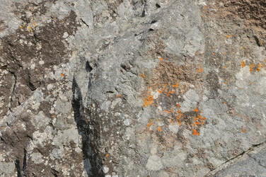 Similar image 1315449