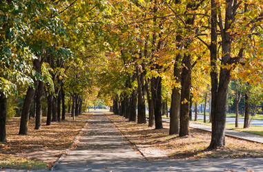 Similar image 1315507