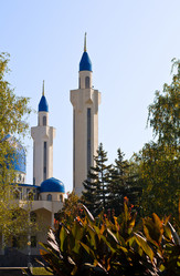 Similar image 1315512