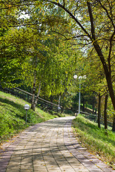 Similar image 1315574