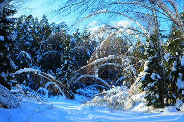 Similar image 1315662