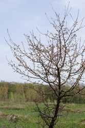 Similar image 1315673