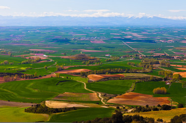 Similar image 1315681