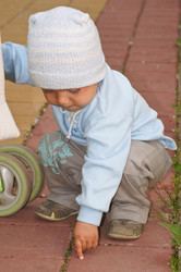 Similar image 1315684