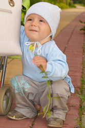 Similar image 1315688