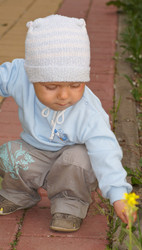 Similar image 1315692