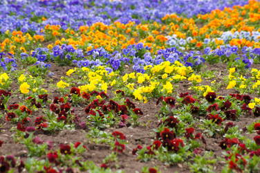 Similar image 1315697