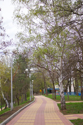 Similar image 1315700