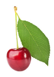 Similar image 1315711