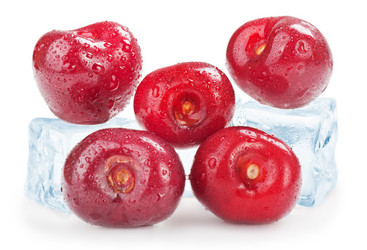 Similar image 1315712