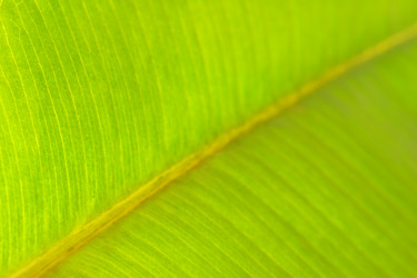 Similar image 1315732