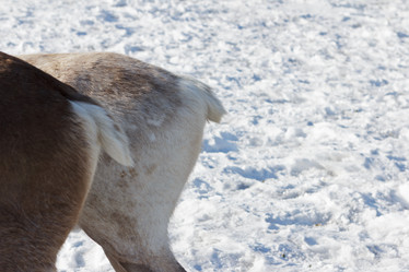 Similar image 1315734