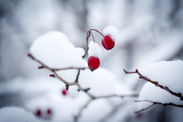 Similar image 1315786