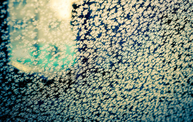 Similar image 1315787